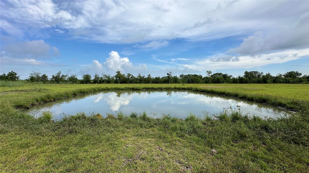 3707 Old Atascocita Road Road, Huffman, Texas image 7