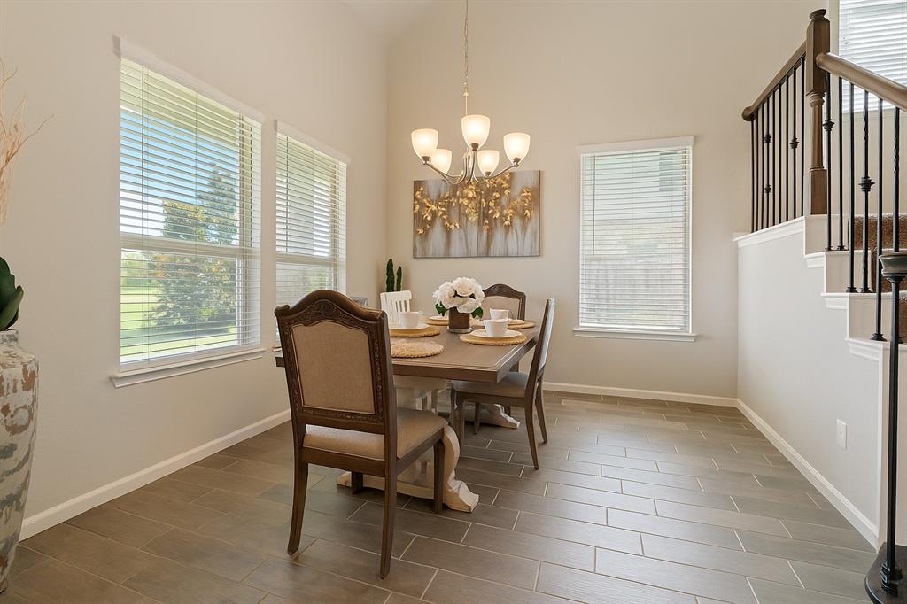 28746 Pearl Bridge Lane, Katy, Texas image 3