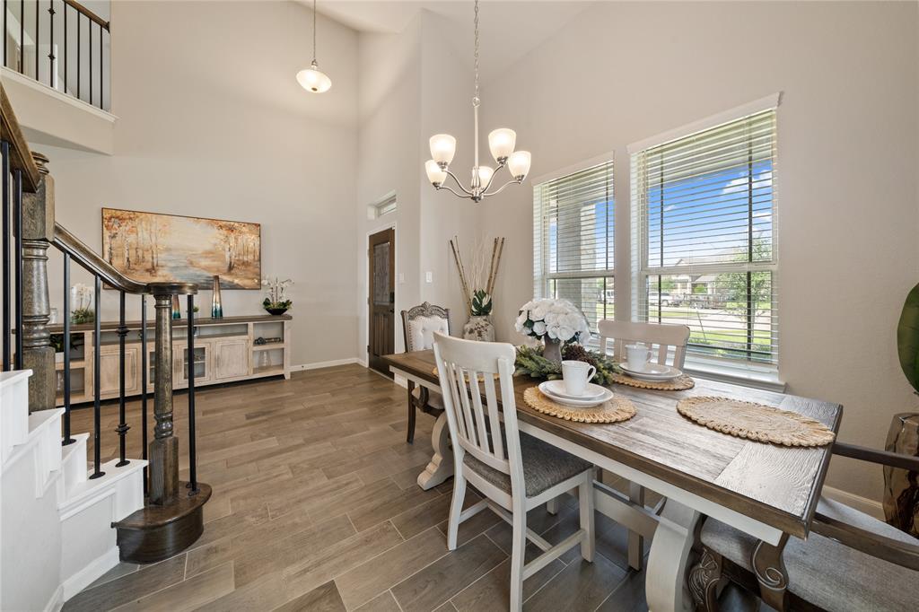 28746 Pearl Bridge Lane, Katy, Texas image 4
