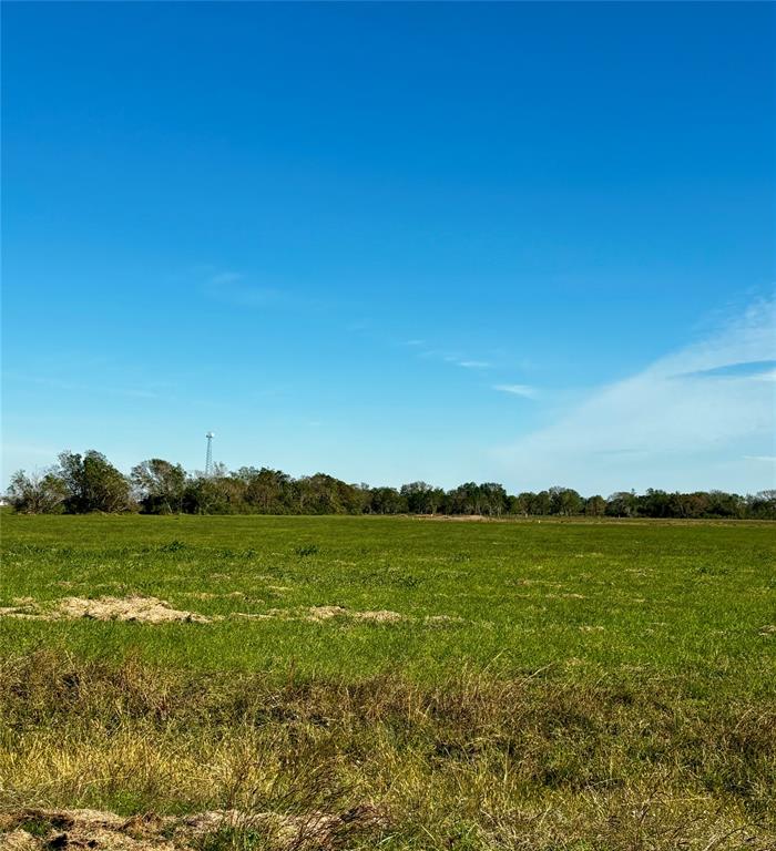 Cherokee Trail, Angleton, Texas image 2