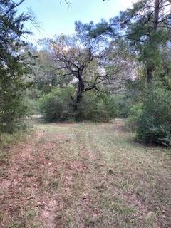 0000 Spring Branch Road, Montgomery, Texas image 1