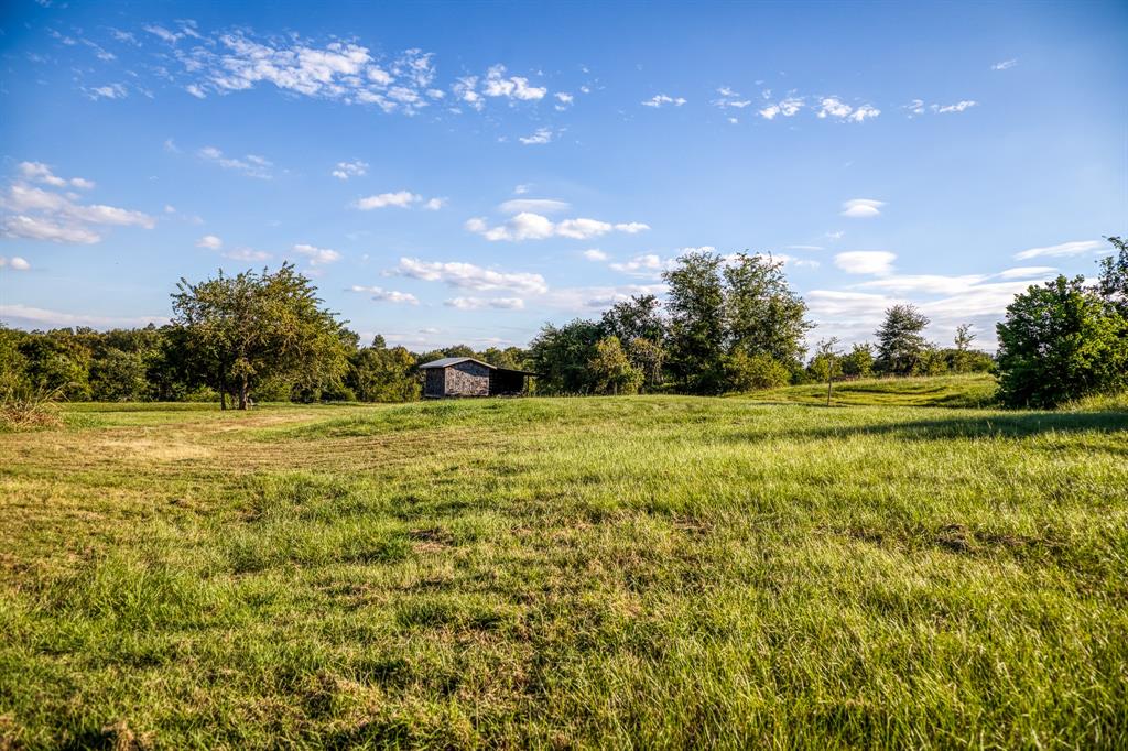 527 Phillipsburg Church Road, Bellville, Texas image 1