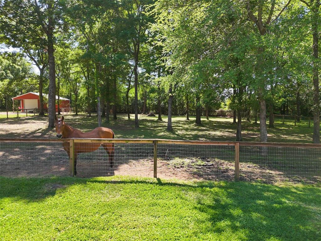 13882 Oak Manor Drive, Willis, Texas image 31