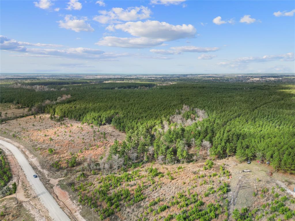 123 Lone Star Ridge, Lovelady, Texas image 17