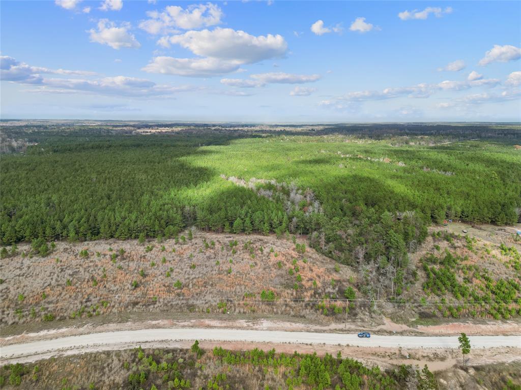 123 Lone Star Ridge, Lovelady, Texas image 13