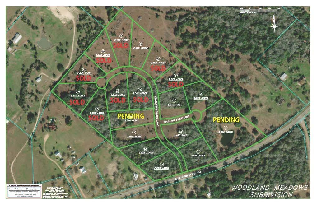115 Woodland Meadows Lane, La Grange, Texas image 9