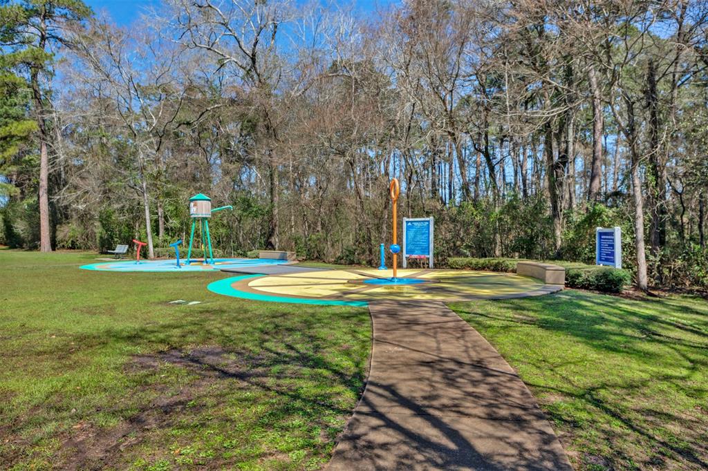 255 Bloomhill Place, Magnolia, Texas image 39