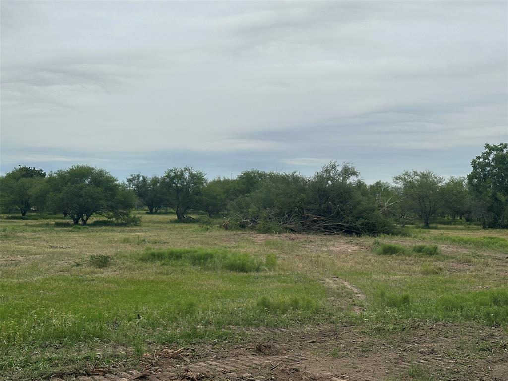 TBD01 Moody Road, Needville, Texas image 4