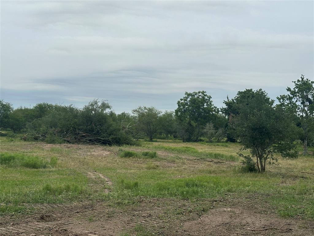 TBD01 Moody Road, Needville, Texas image 3