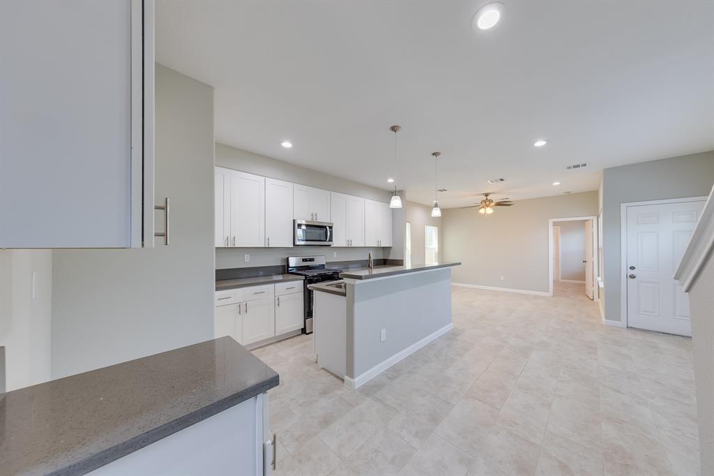 313 De Haven Street, Houston, Texas image 3