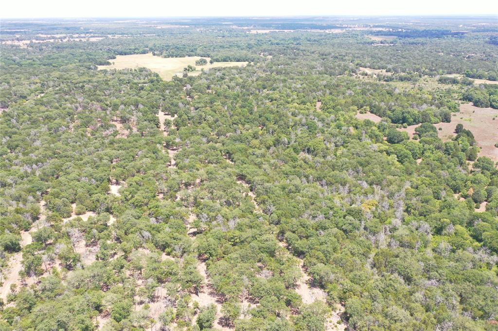 21.481 Acres St Delight Rd, Paige, Texas image 7