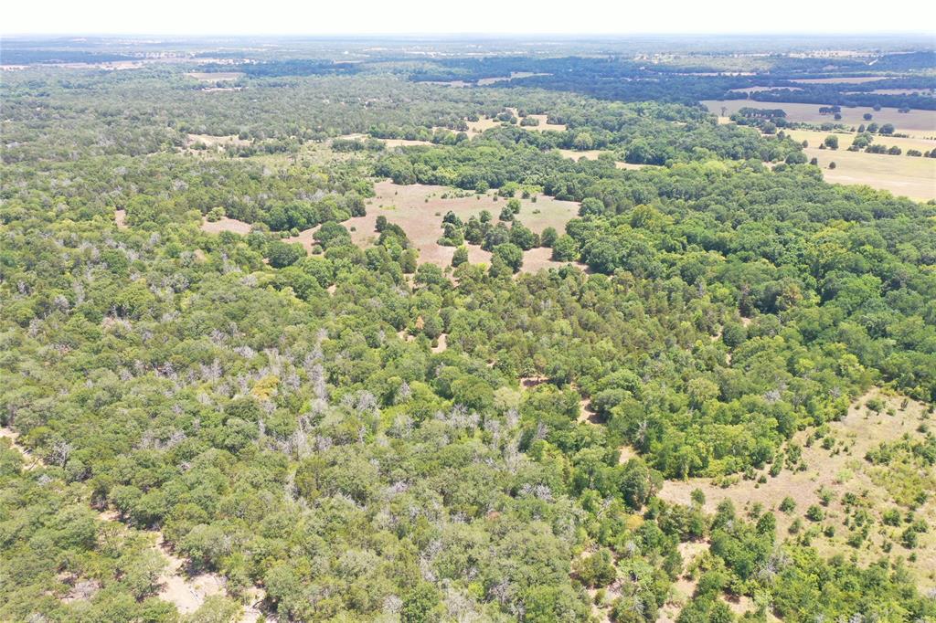 21.481 Acres St Delight Rd, Paige, Texas image 11