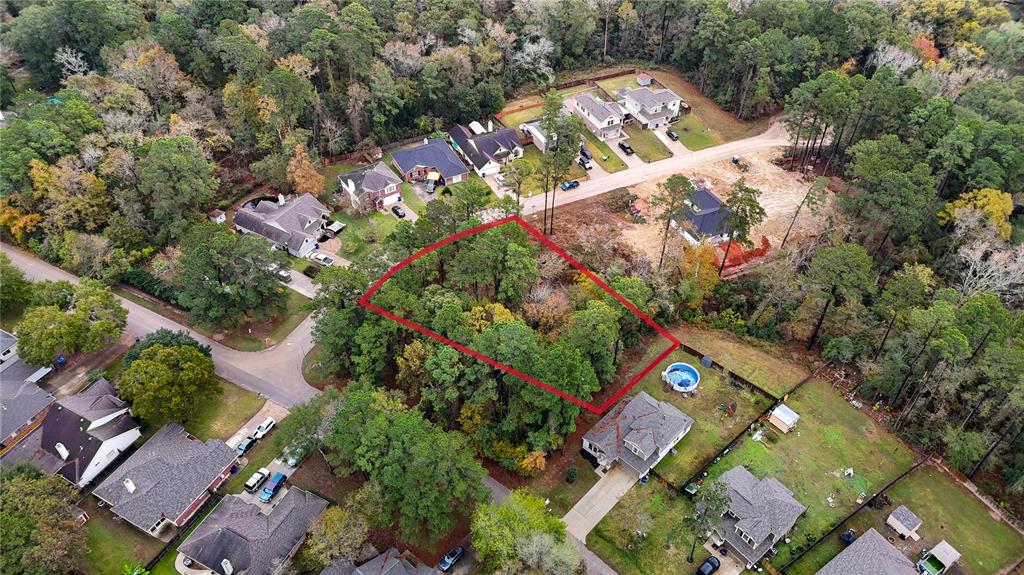 1995 La Salle Park Drive, Conroe, Texas image 15