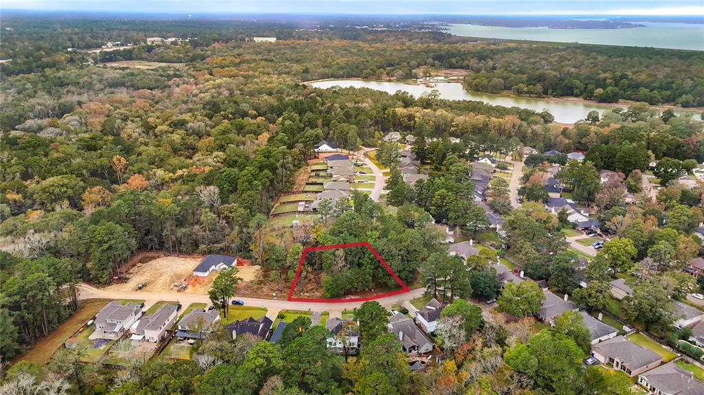 1995 La Salle Park Drive, Conroe, Texas image 28