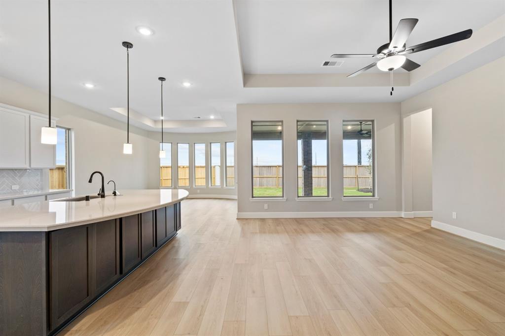 6411 Sparkling Citrus Street, Manvel, Texas image 13