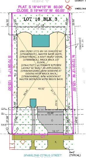 6411 Sparkling Citrus Street, Manvel, Texas image 20
