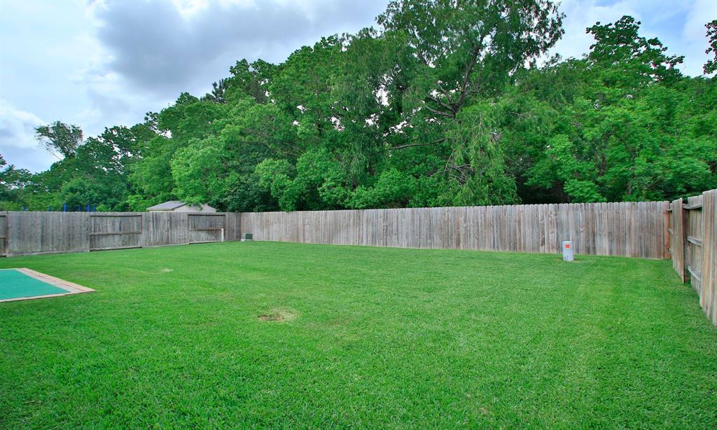 2802 Parkeston Drive, Spring, Texas image 29