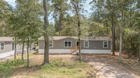 Photo of 7996 Tawnyberry Lane Ln, Plantersville, TX 77363 (MLS # 56064836)