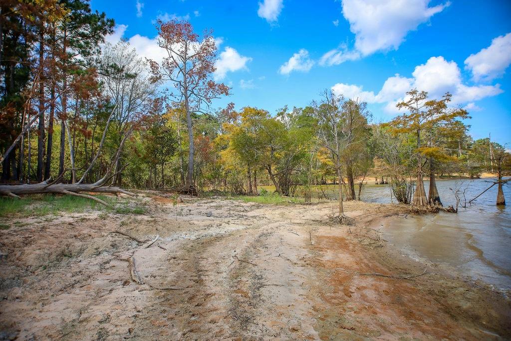 182 Bailey Jones, Huntington, Texas image 8