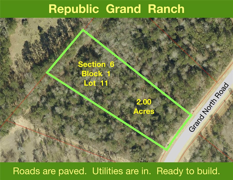 11756 Grand North Road, Willis, Texas image 1