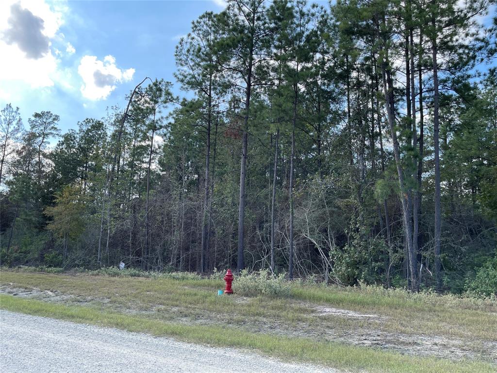 11756 Grand North Road, Willis, Texas image 7