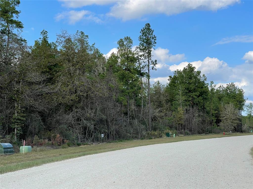 11756 Grand North Road, Willis, Texas image 4