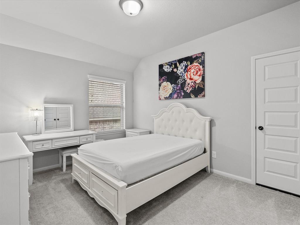 2712 Ahnya Lane, League City, Texas image 38