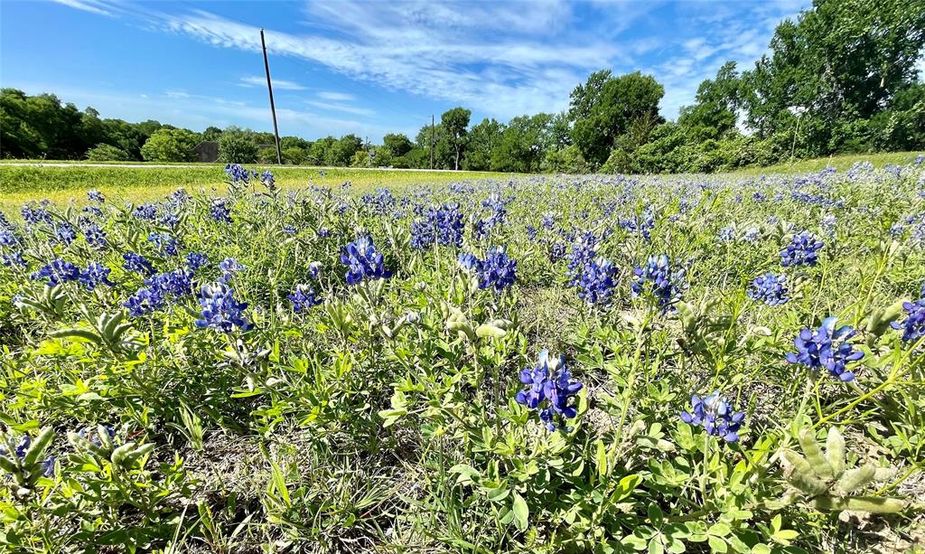 3555 Amber Cir Cir, Chappell Hill, Texas image 43