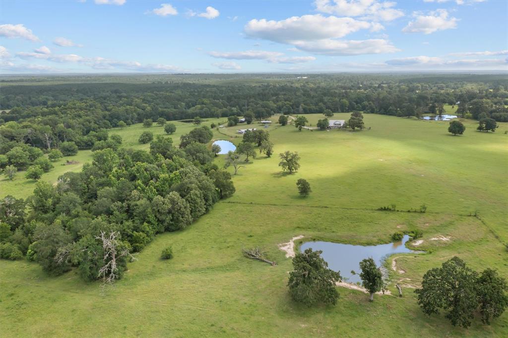 2421 Fm 1280, Lovelady, Texas image 49
