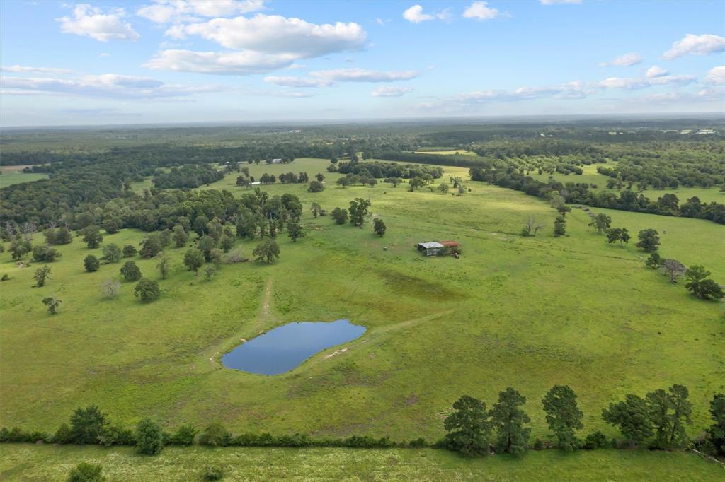 2421 Fm 1280, Lovelady, Texas image 48
