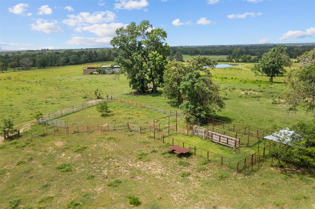 2421 Fm 1280, Lovelady, Texas image 45