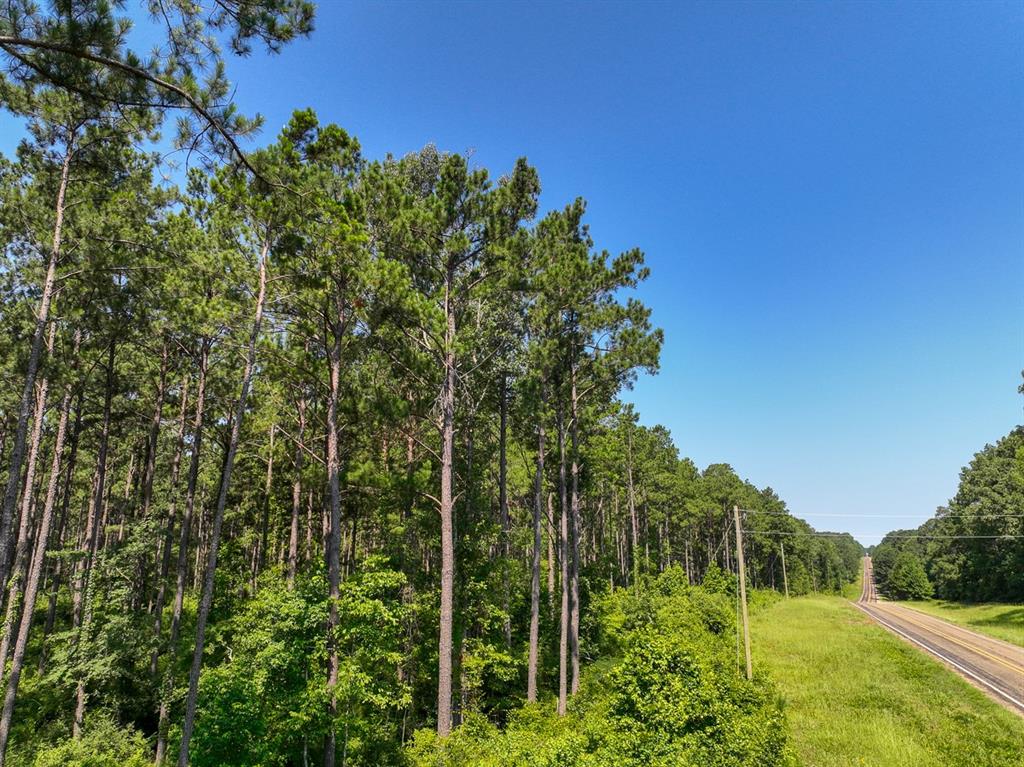 002 Highway 87, Milam, Texas image 3