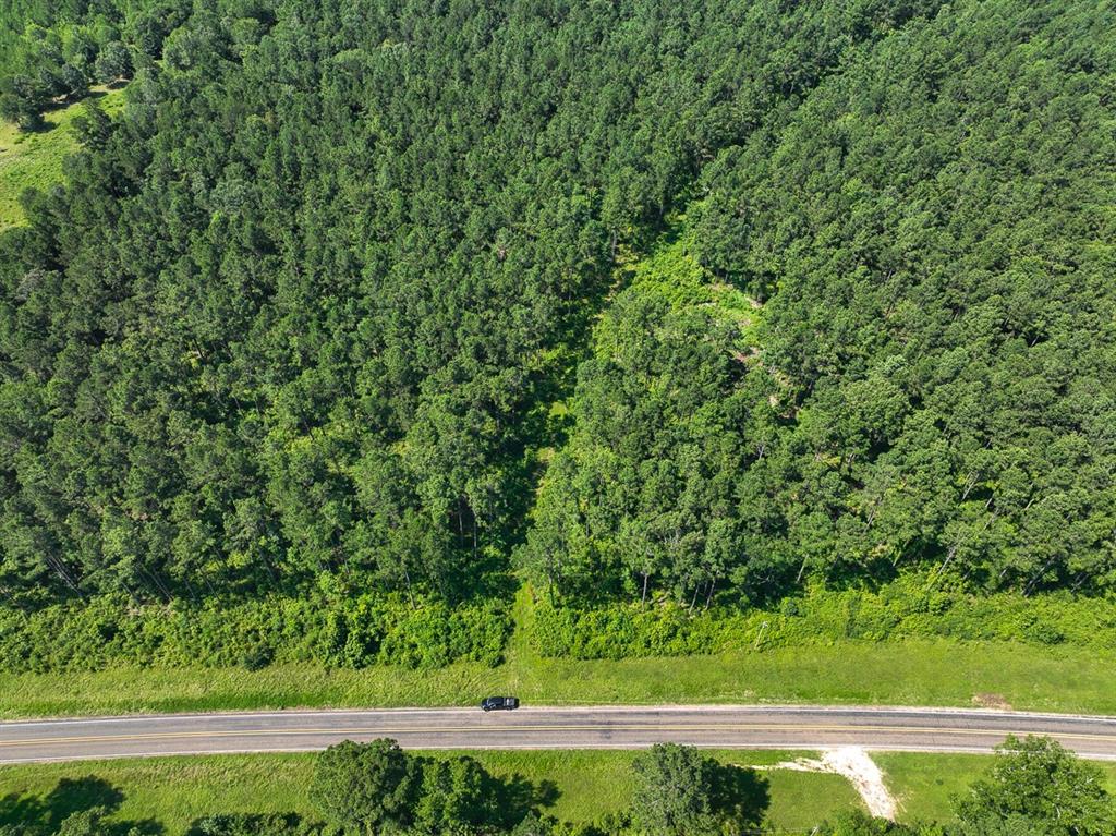 002 Highway 87, Milam, Texas image 8