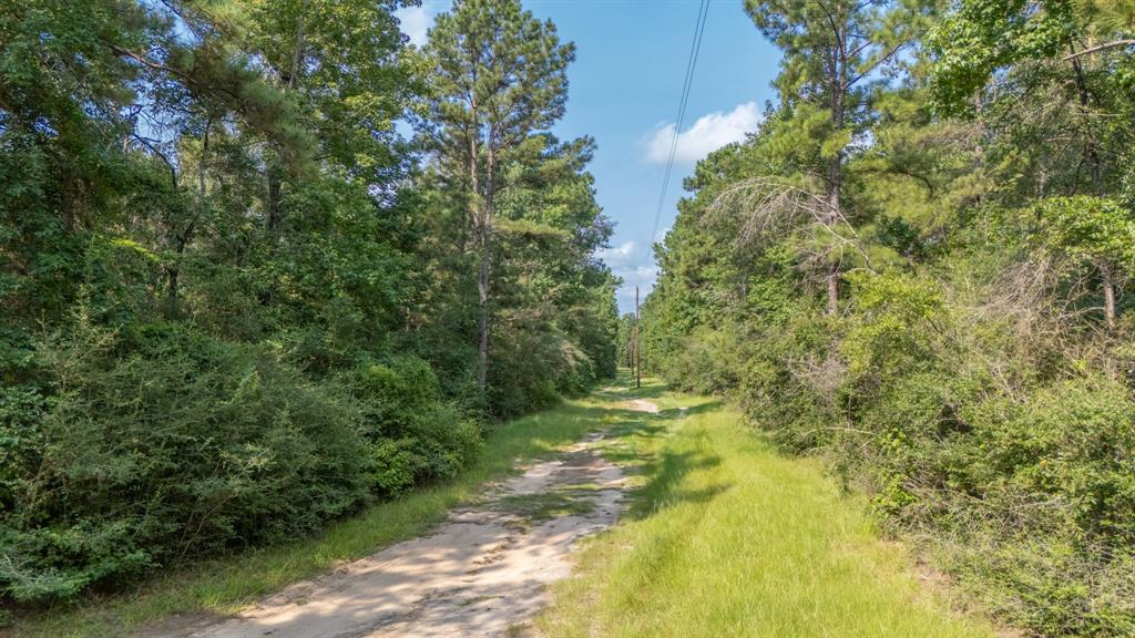 12274 Ike White Road