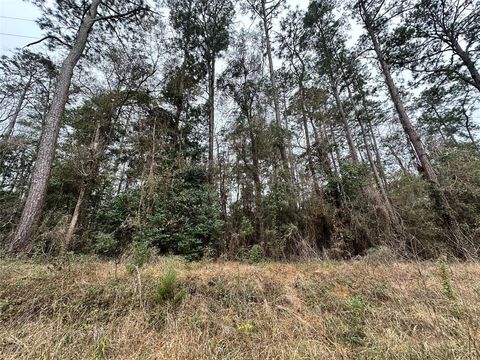 Photo of TBD The Ole Don Road, Livingston, TX 77351 (MLS # 96517055)
