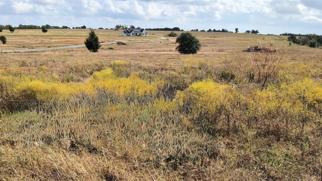 Lot 12 Independence Trail, Burton, Texas image 3