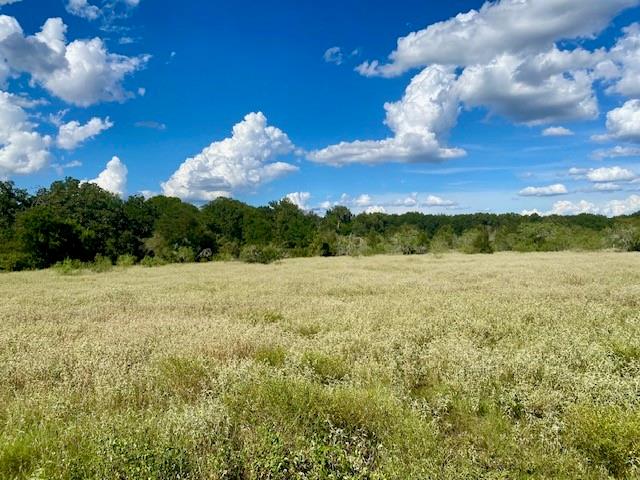 TBD County Road 120, Caldwell, Texas image 17