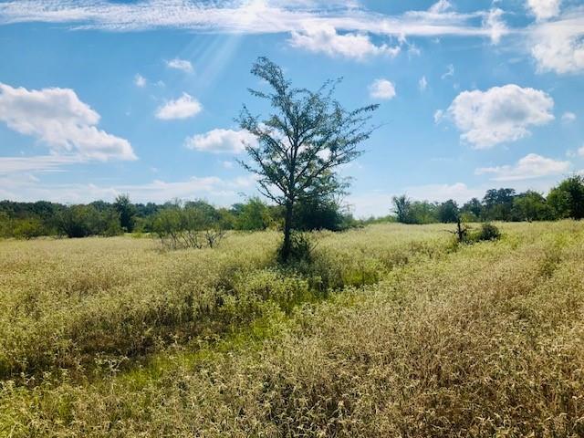 TBD County Road 120, Caldwell, Texas image 8