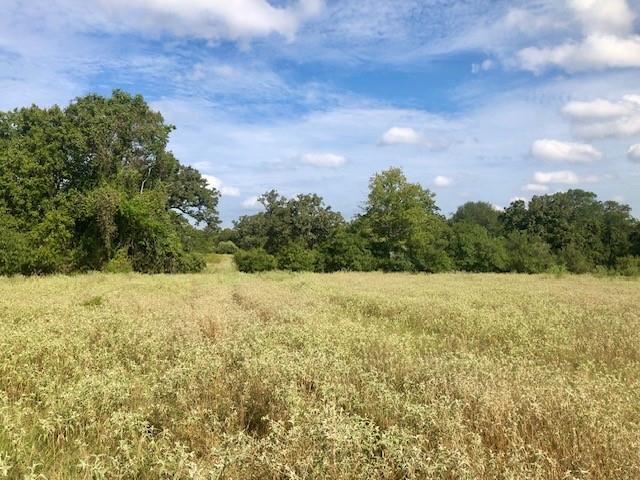 TBD County Road 120, Caldwell, Texas image 6