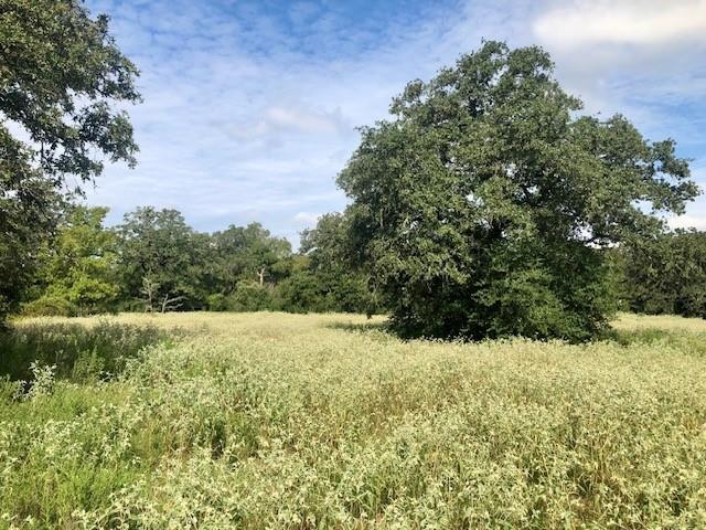 TBD County Road 120, Caldwell, Texas image 5