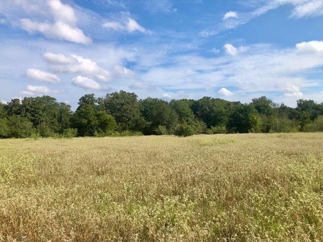 TBD County Road 120, Caldwell, Texas image 7