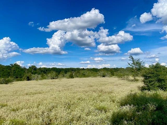 TBD County Road 120, Caldwell, Texas image 16