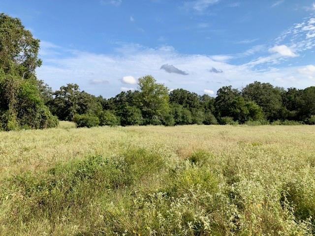 TBD County Road 120, Caldwell, Texas image 12