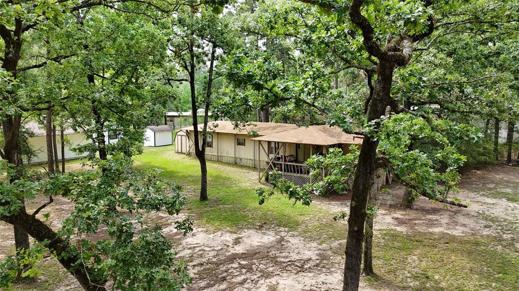 1171 Cardinal Lane, Trinity, Texas image 5