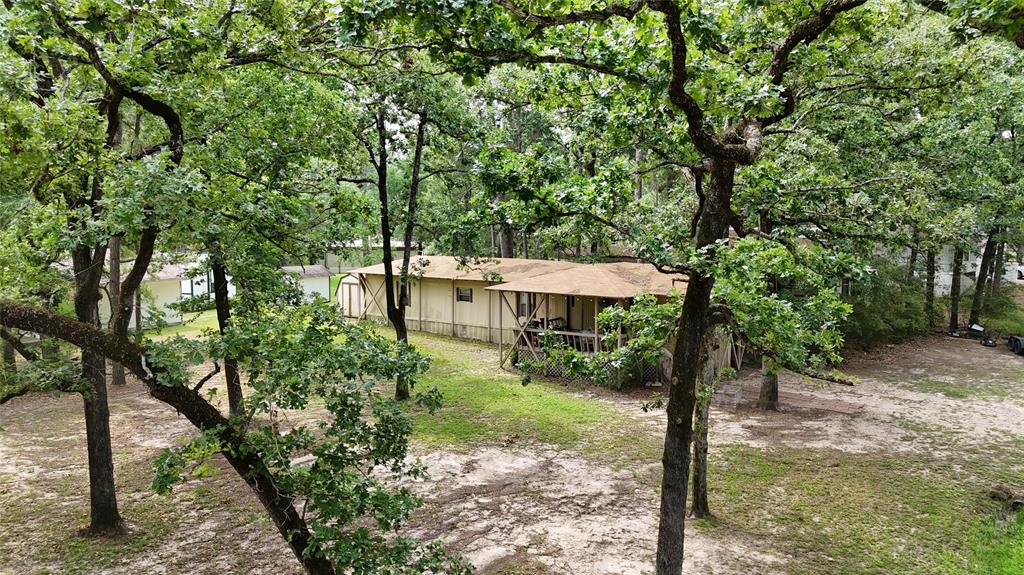 1171 Cardinal Lane, Trinity, Texas image 4