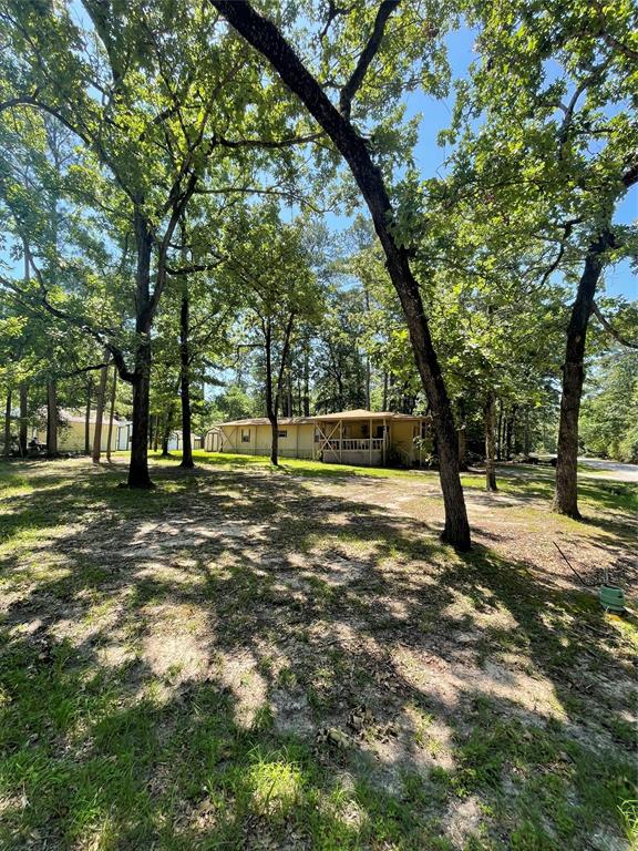 1171 Cardinal Lane, Trinity, Texas image 1