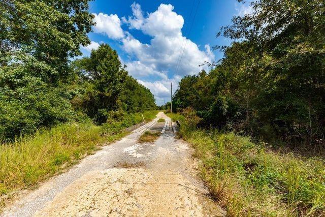 Lot 6 Blue Jay Drive, Kountze, Texas image 5