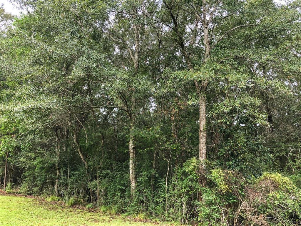 Lot 6 Blue Jay Drive, Kountze, Texas image 3