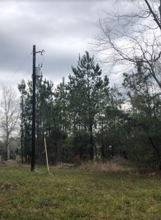 Lot 6 Blue Jay Drive, Kountze, Texas image 4