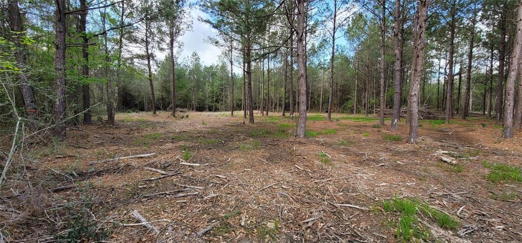 Lot 6 Blue Jay Drive, Kountze, Texas image 2